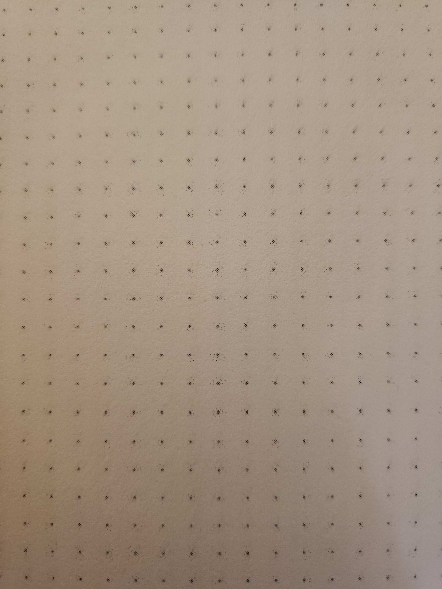 A5 "Haunted Vampire" Notebook *MISPRINTS*