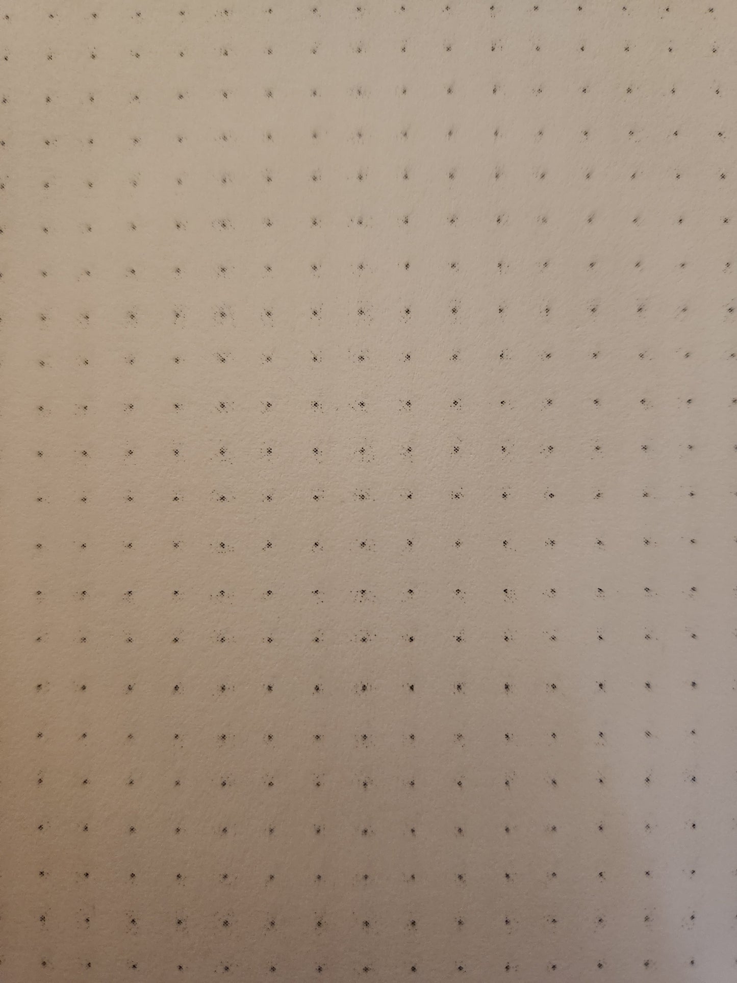 A5 "Haunted Vampire" Notebook *MISPRINTS*