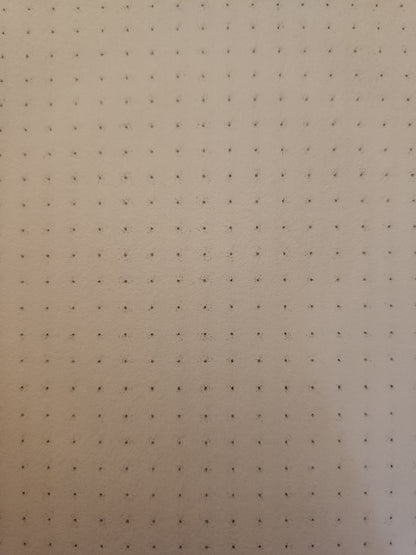 A5 "Haunted Vampire" Notebook *MISPRINTS*